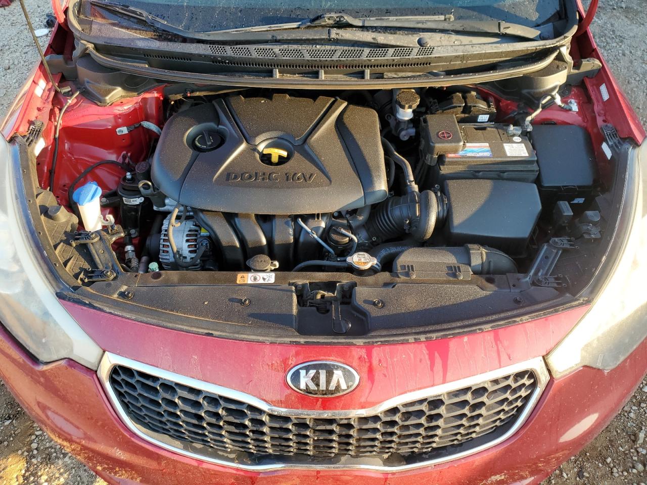 VIN KNAFK4A68G5573575 2016 KIA FORTE no.11