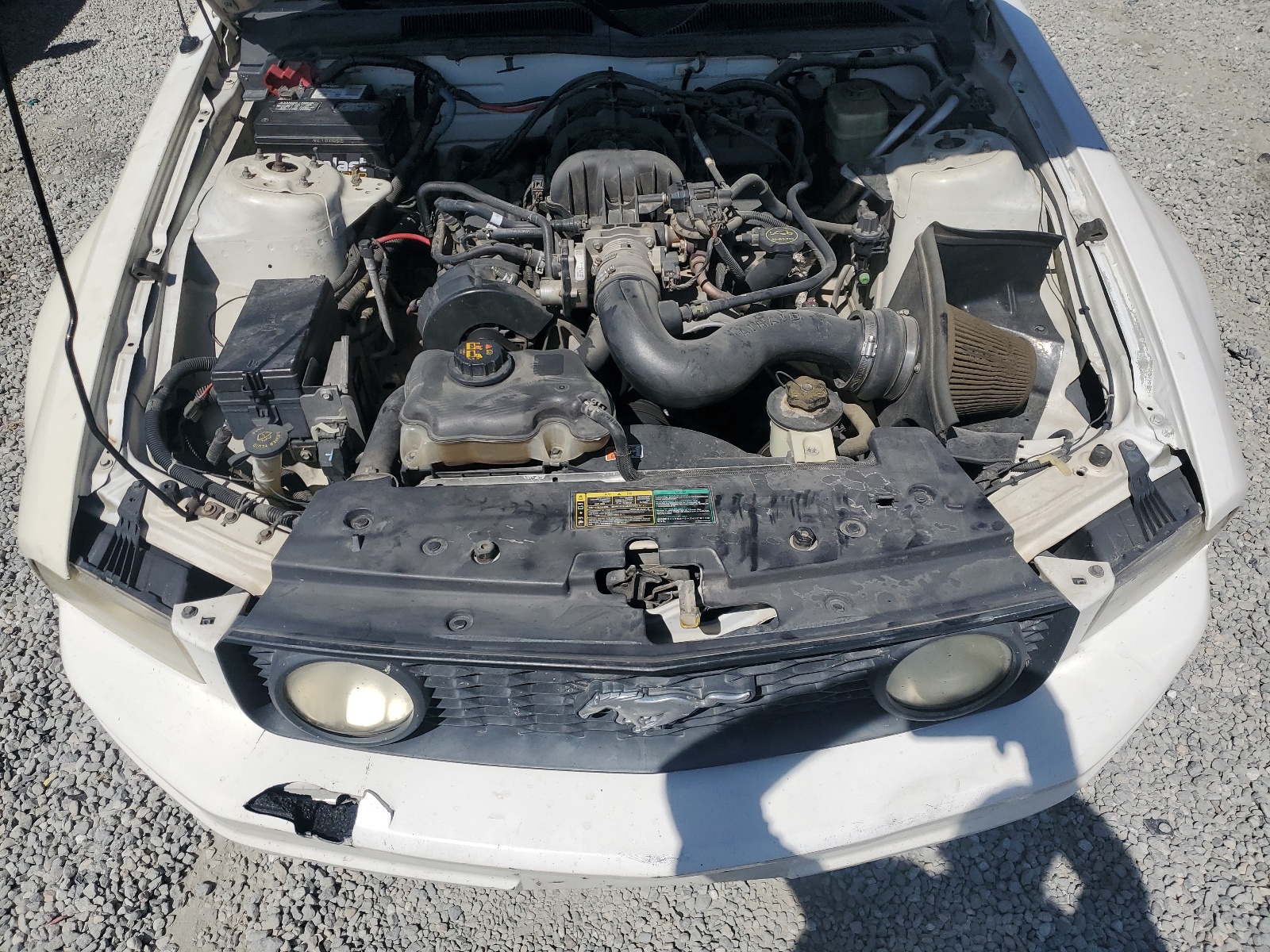 1ZVFT80N855238634 2005 Ford Mustang