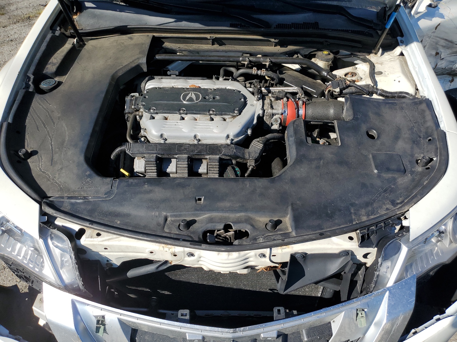 19UUA9F51BA001582 2011 Acura Tl