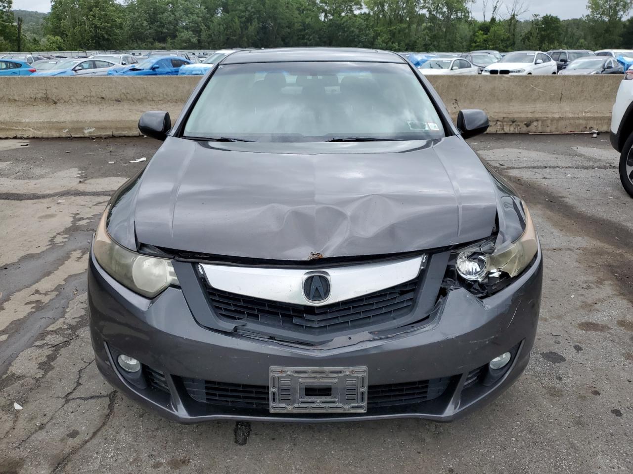 2010 Acura Tsx VIN: JH4CU4F68AC002842 Lot: 66584874