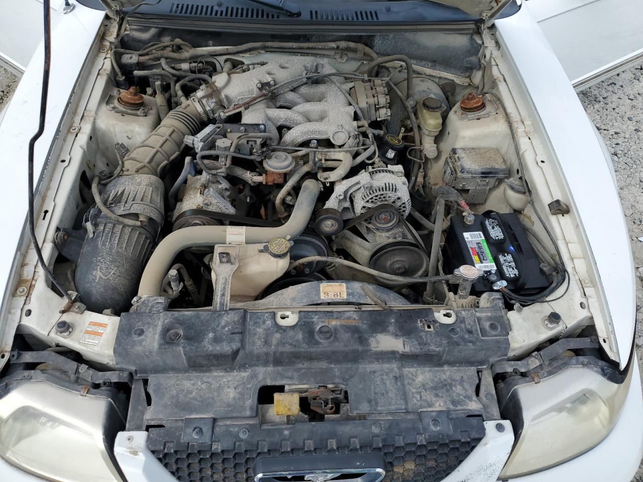 2000 Ford Mustang VIN: 1FAFP4449YF113454 Lot: 65928304