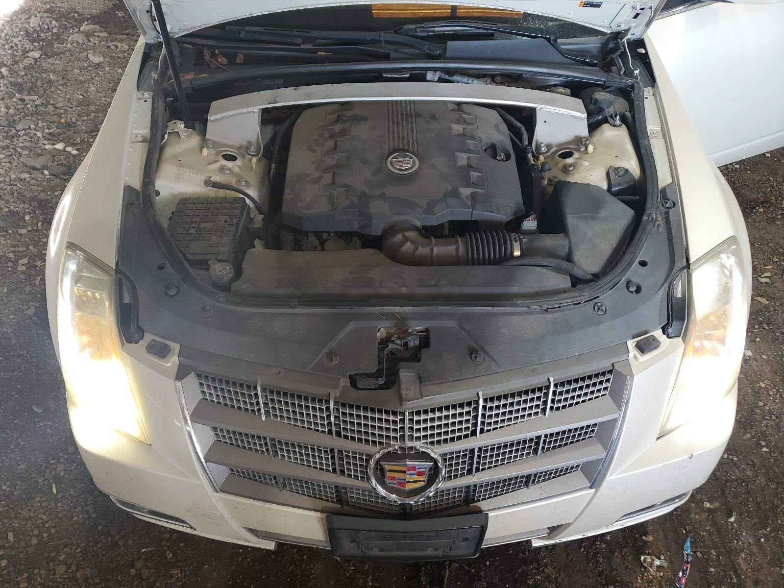 1G6DJ5EYXB0105709 2011 Cadillac Cts Performance Collection
