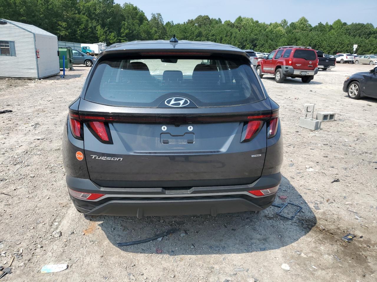 2024 Hyundai Tucson Se VIN: 5NMJACDEXRH346207 Lot: 68993314