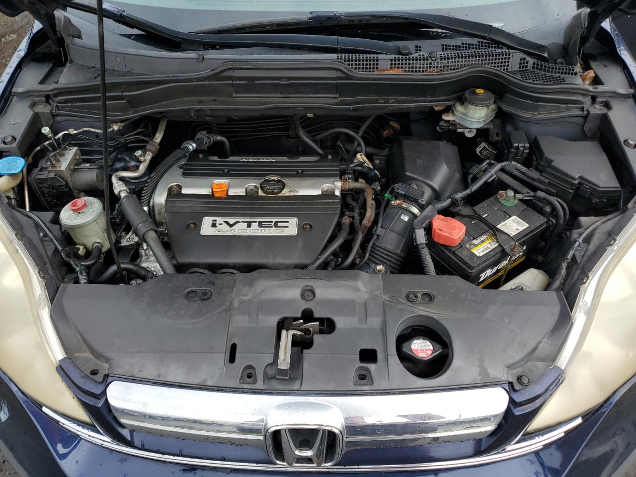 2007 Honda Cr-V Exl VIN: JHLRE48787C049184 Lot: 66972744