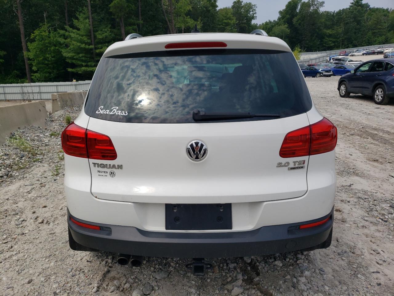 2013 Volkswagen Tiguan S VIN: WVGBV3AX0DW058115 Lot: 64559904