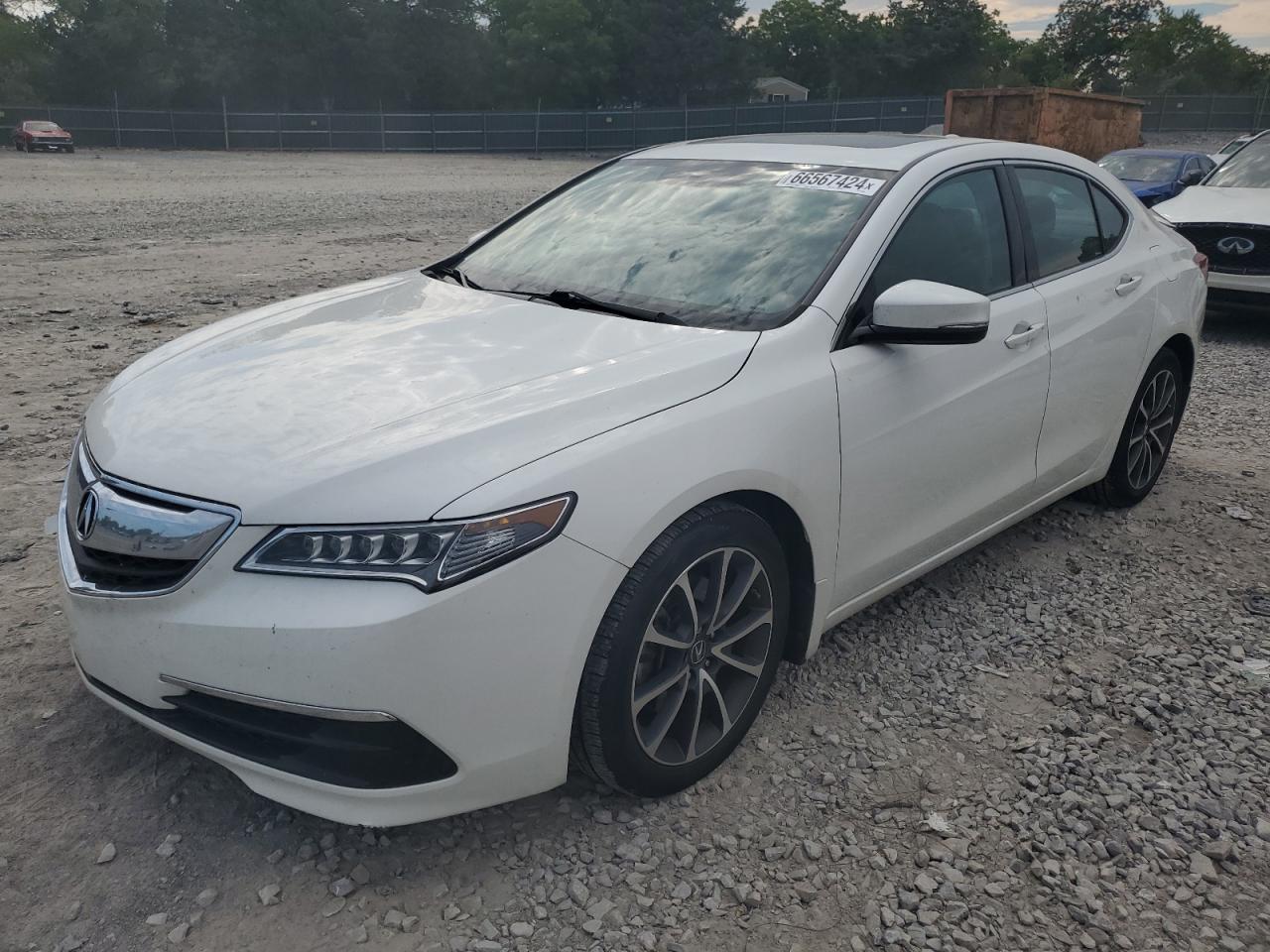 2015 Acura Tlx Tech VIN: 19UUB2F56FA002530 Lot: 66567424