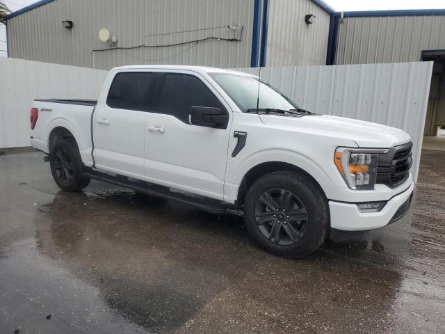  FORD F-150 2023 Белы