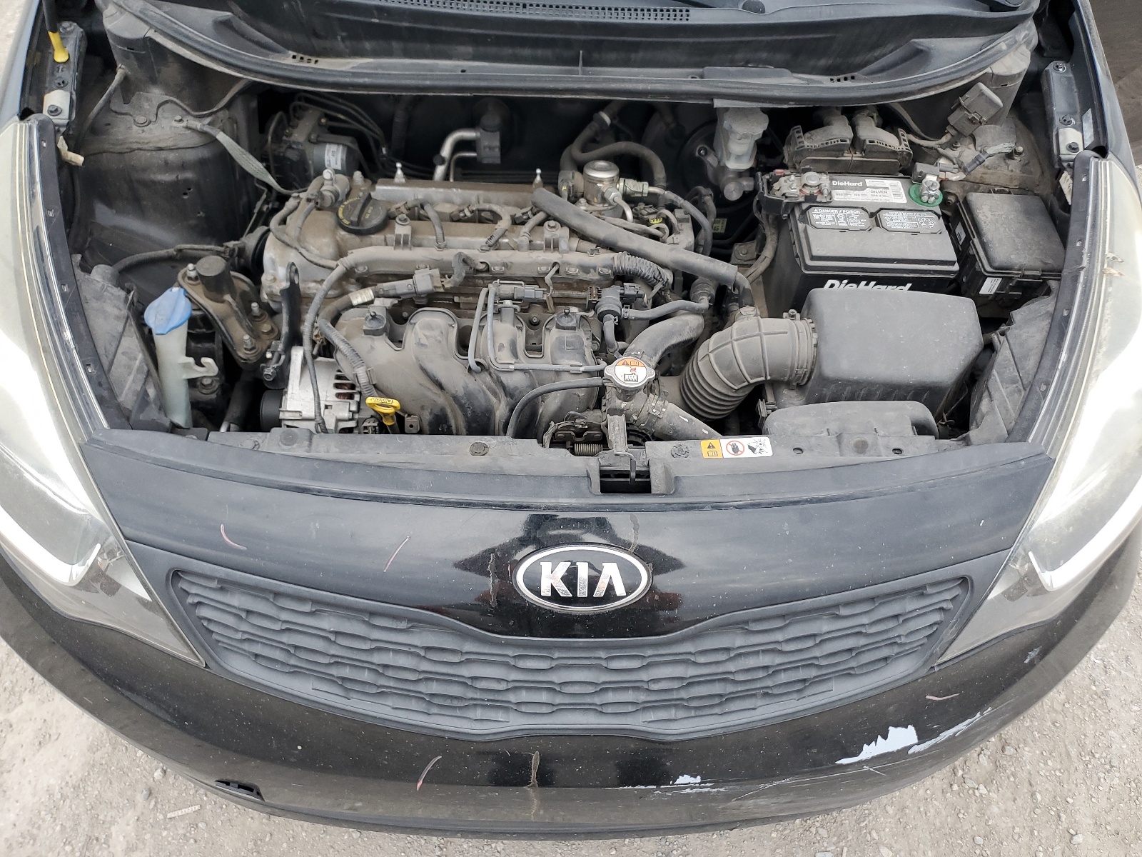 KNADM4A33D6319575 2013 Kia Rio Lx