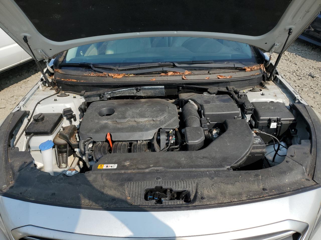 2015 Hyundai Sonata Se VIN: 5NPE24AF6FH184320 Lot: 67386254