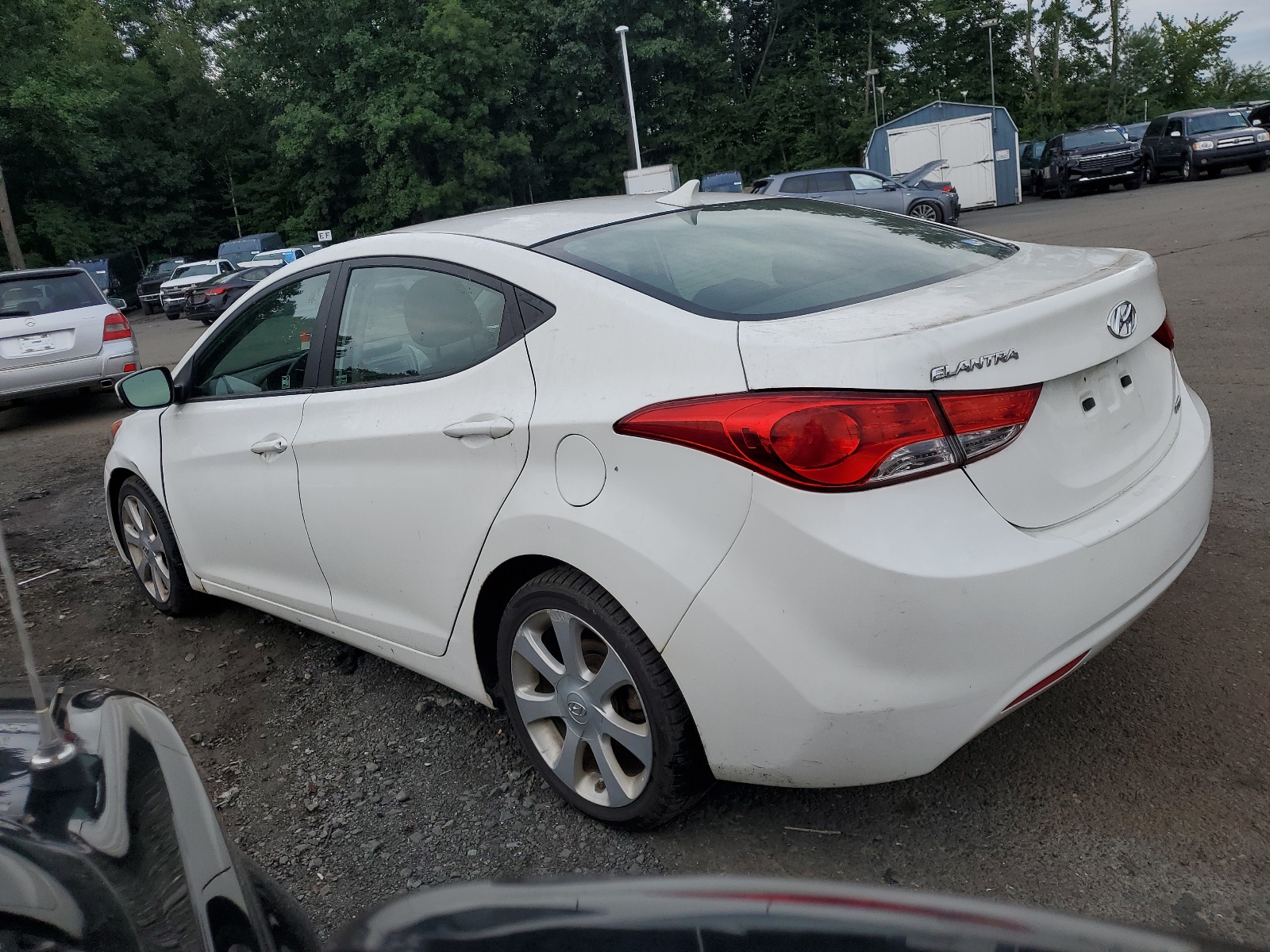 2013 Hyundai Elantra Gls vin: 5NPDH4AE7DH434856