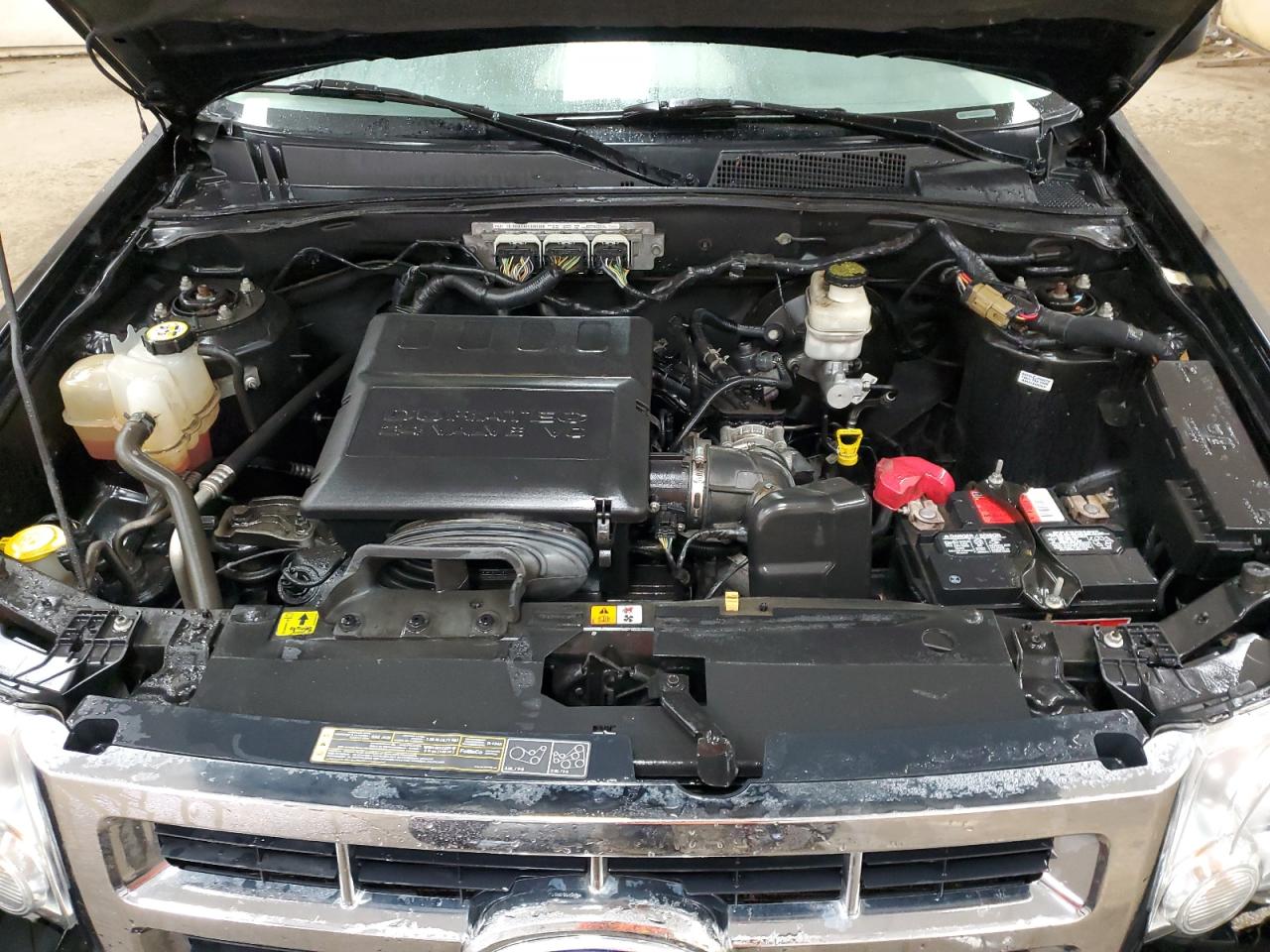 2011 Ford Escape Xlt VIN: 1FMCU0DG6BKB82525 Lot: 65218364