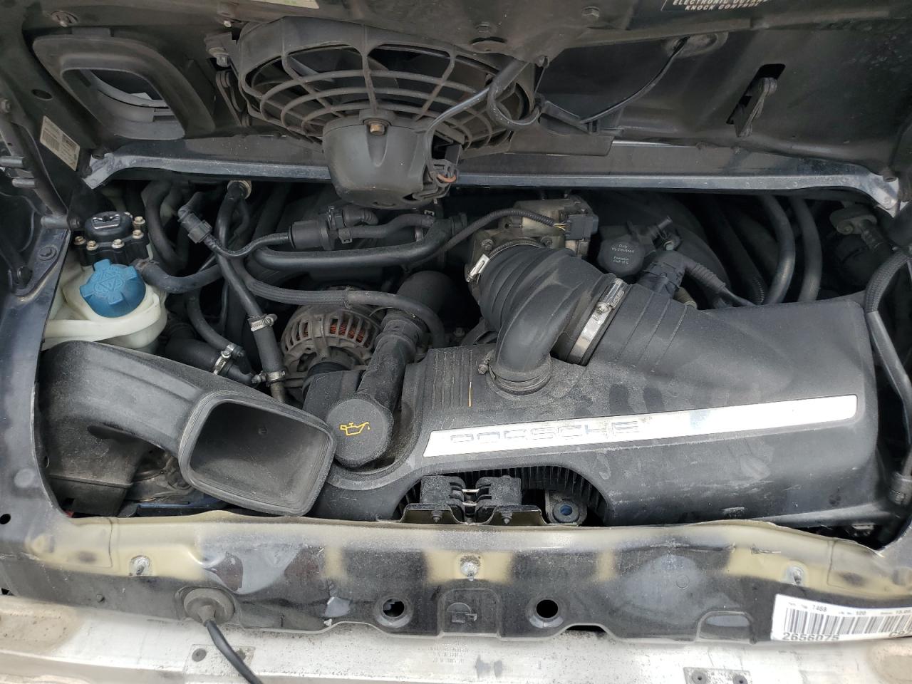 2005 Porsche 911 New Generation Carrera Cabriolet VIN: WP0CA299X5S756020 Lot: 66551524