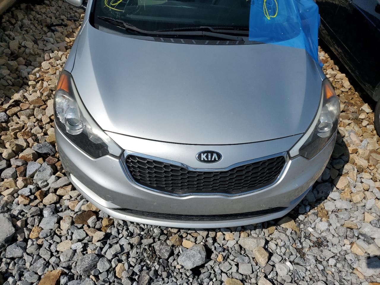 2014 Kia Forte Lx VIN: KNAFX4A68E5105926 Lot: 65704164