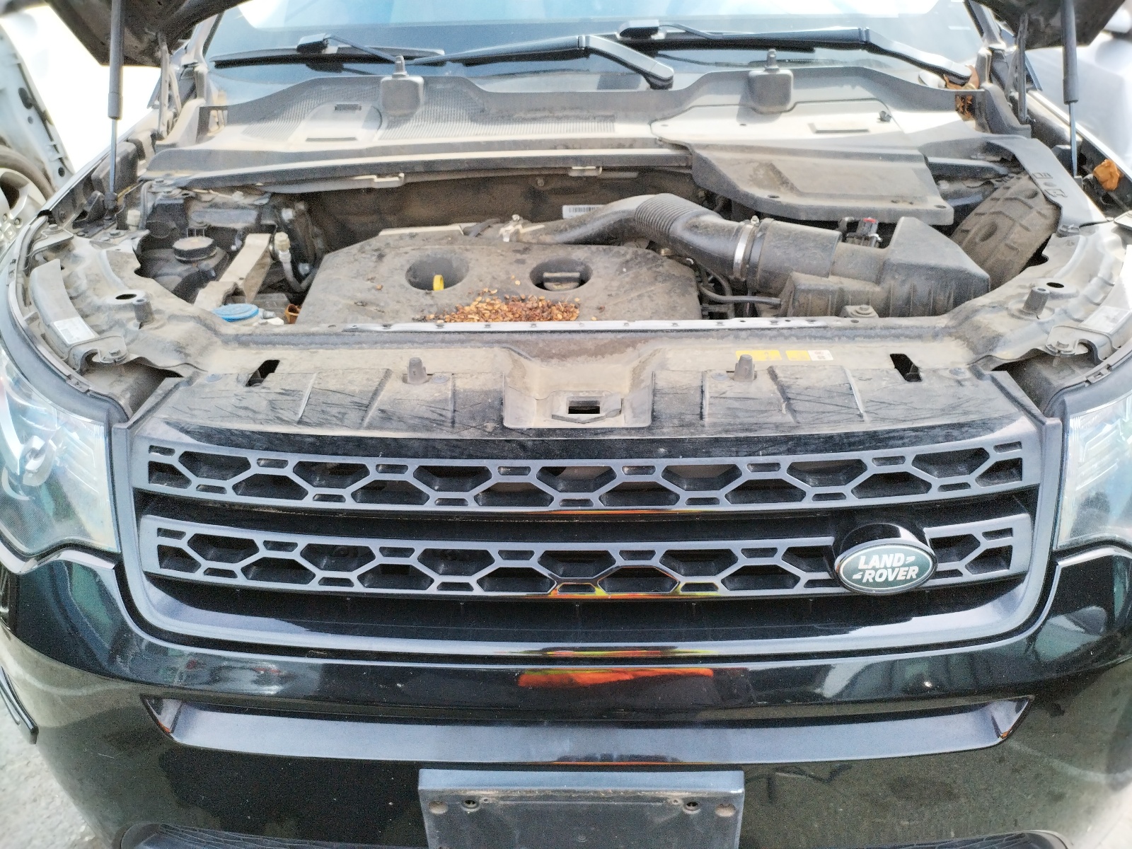 SALCR2BG1HH638658 2017 Land Rover Discovery Sport Hse