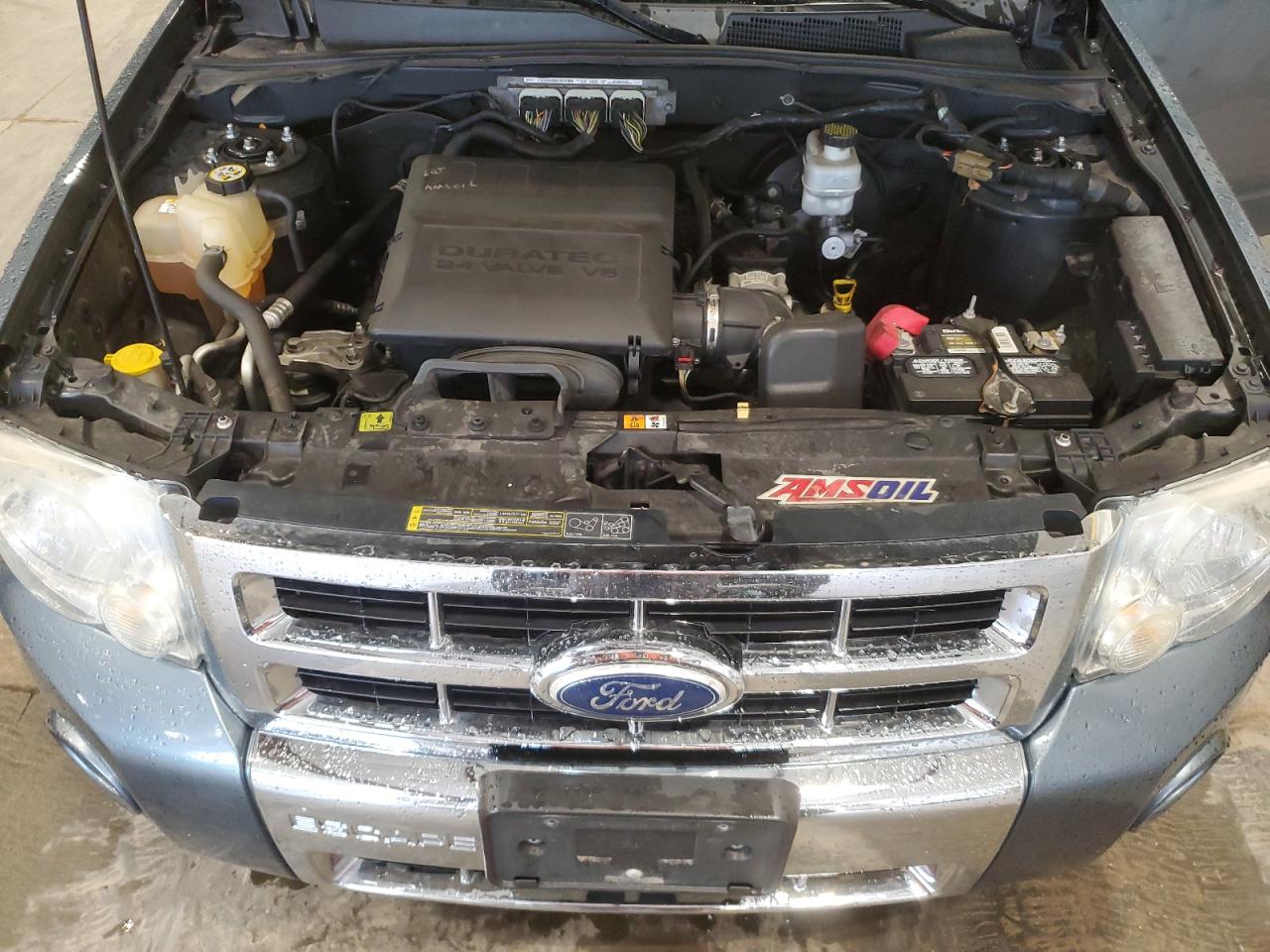 2010 Ford Escape Limited VIN: 1FMCU9EG5AKC45566 Lot: 65717344