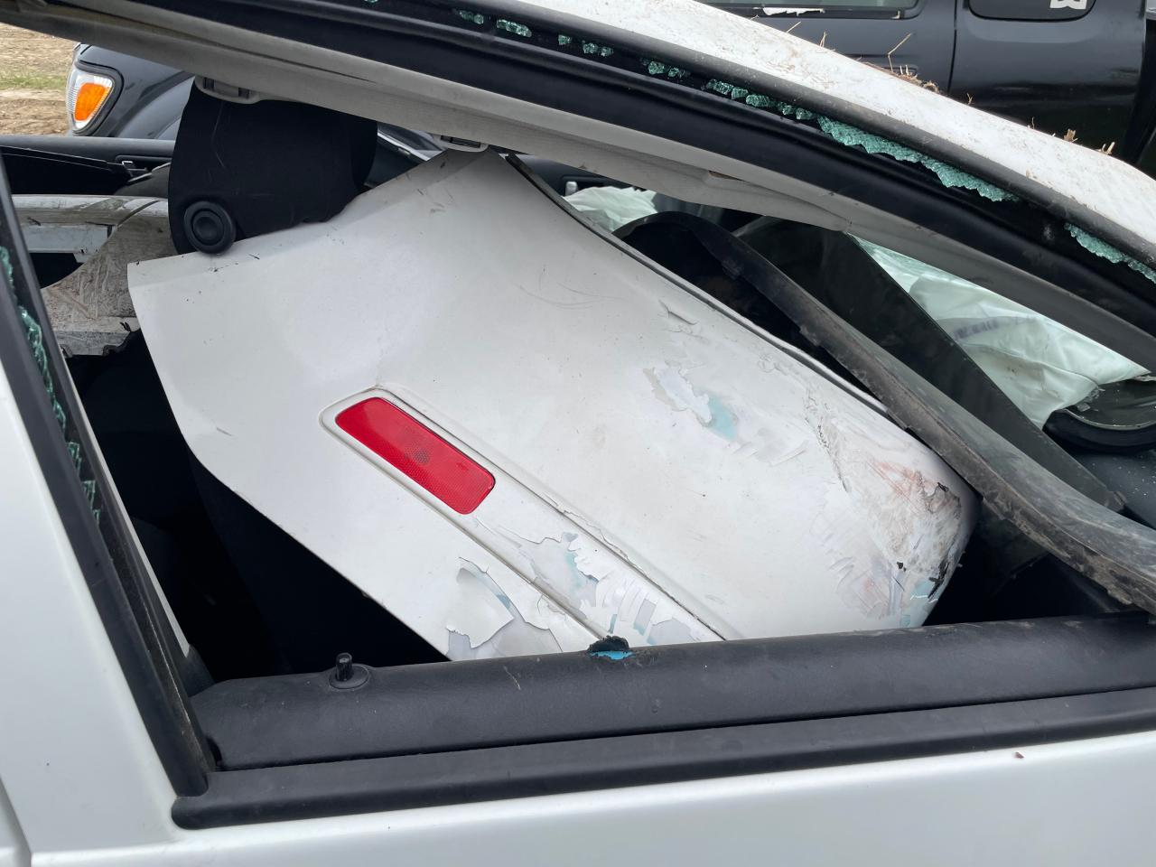 2009 Volkswagen City Jetta VIN: 3VWTK49M59M621164 Lot: 65183384