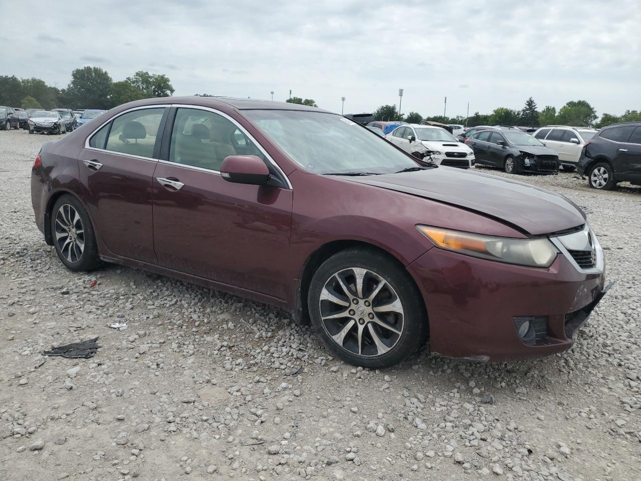 2010 Acura Tsx VIN: JH4CU2F69AC025552 Lot: 66409914