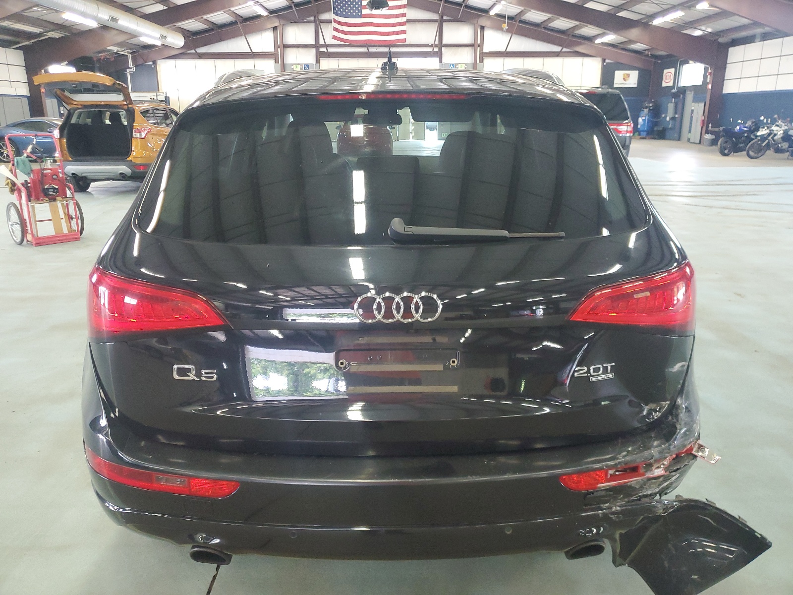 WA1LFAFP1DA042712 2013 Audi Q5 Premium Plus