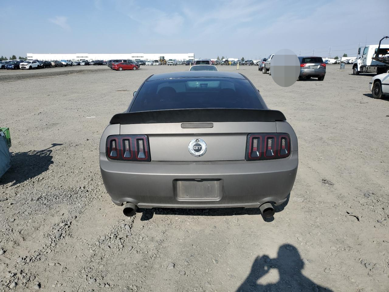 1ZVFT82H375362465 2007 Ford Mustang Gt