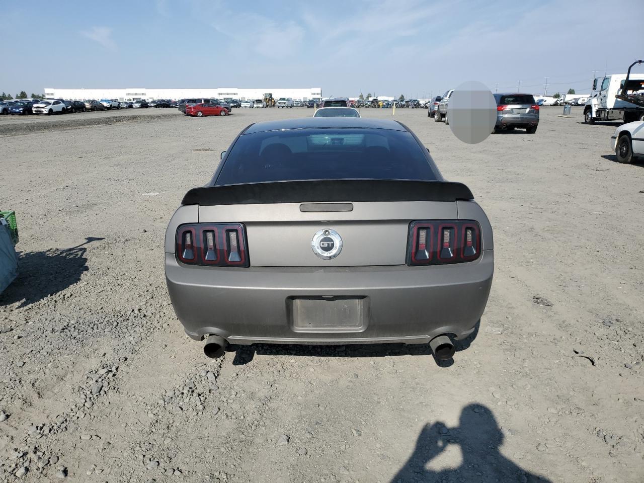 2007 Ford Mustang Gt VIN: 1ZVFT82H375362465 Lot: 66712284