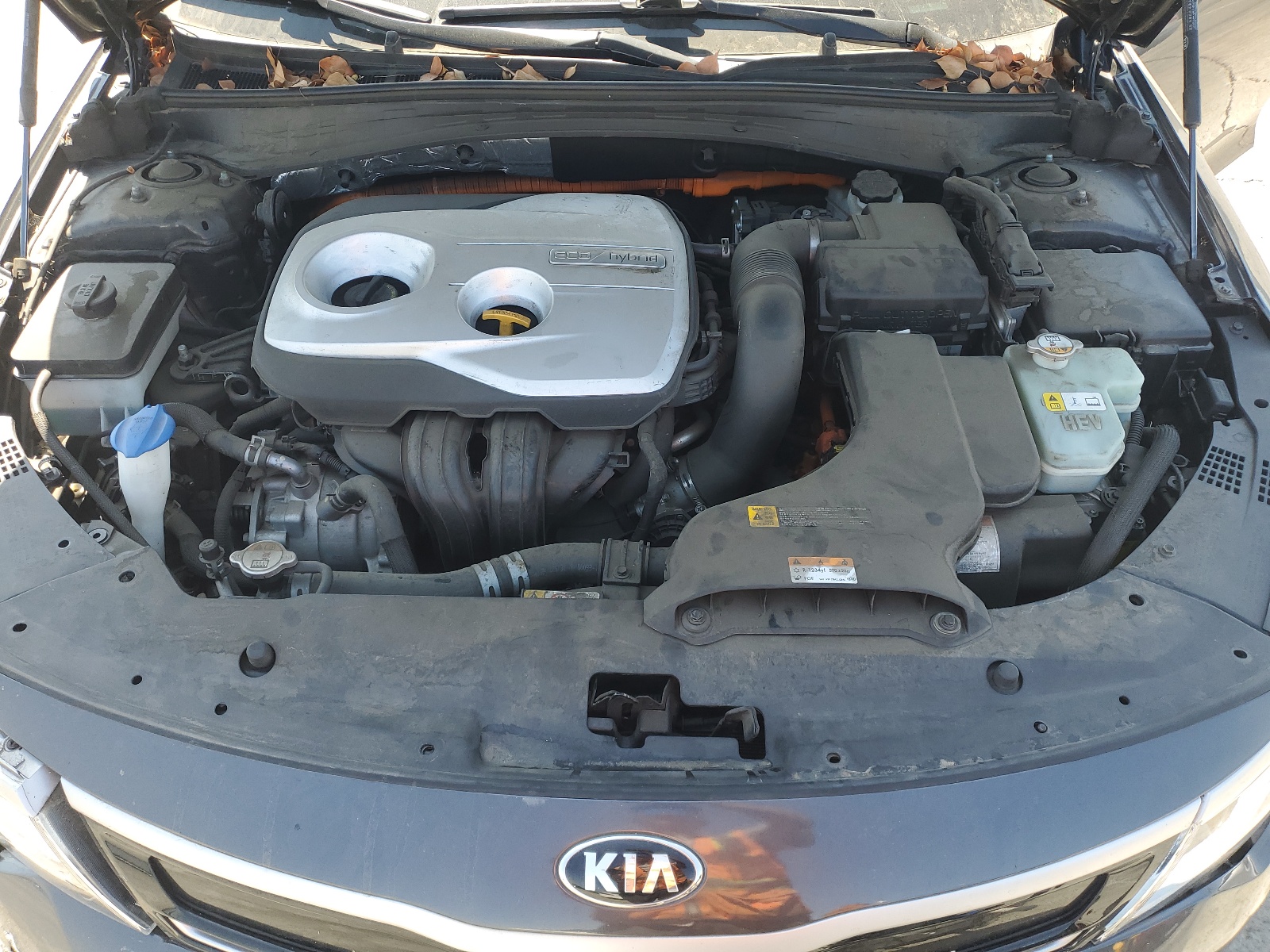 KNAGT4LC6H5005489 2017 Kia Optima Hybrid