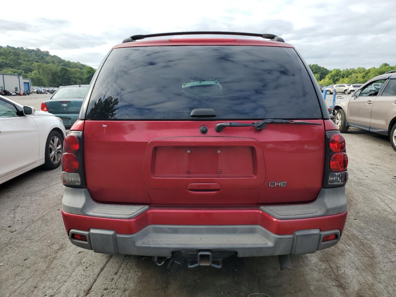 2003 Chevrolet Trailblazer VIN: 1GNDT13S732343464 Lot: 68228004