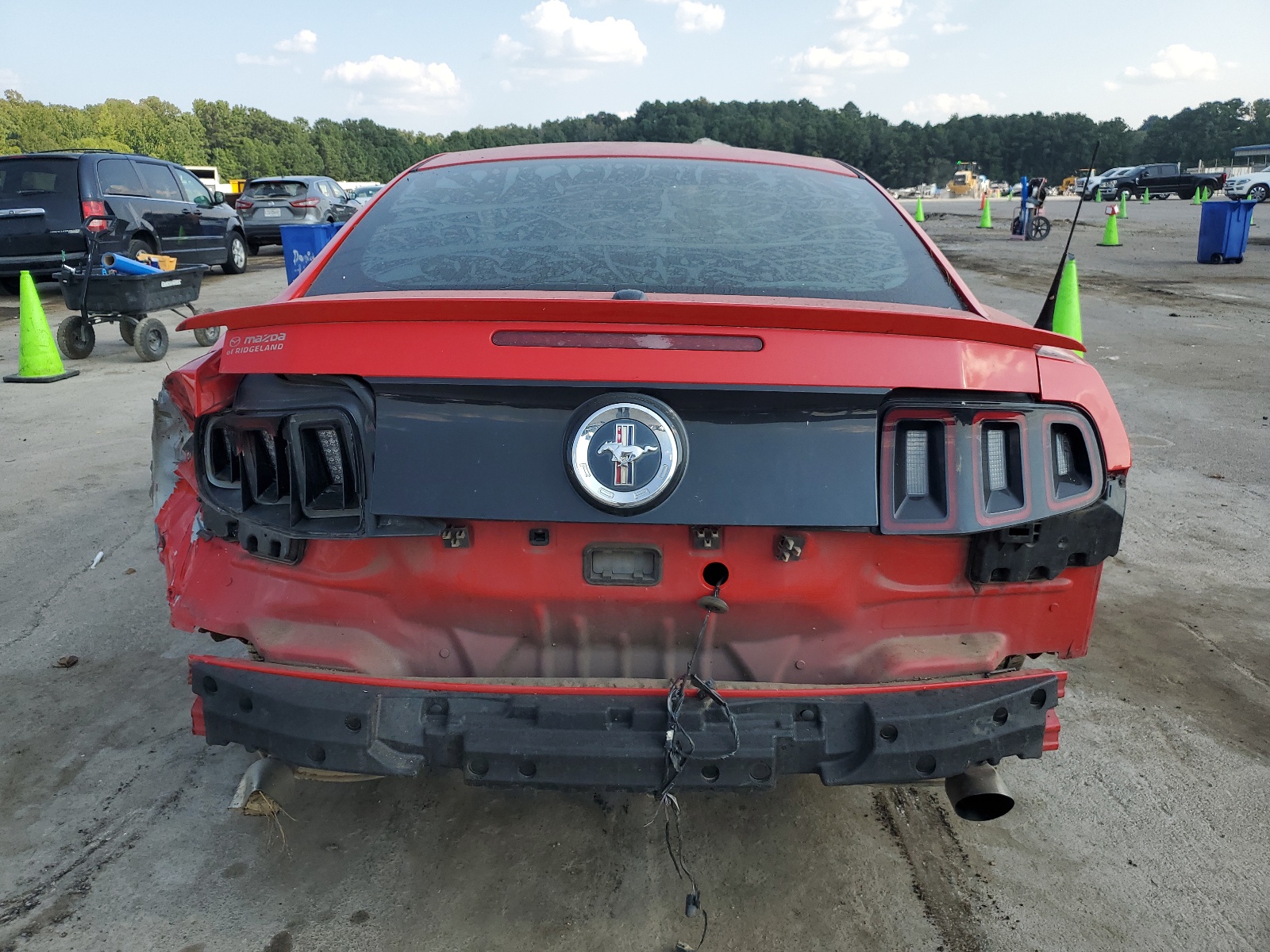 1ZVBP8AM4E5318554 2014 Ford Mustang