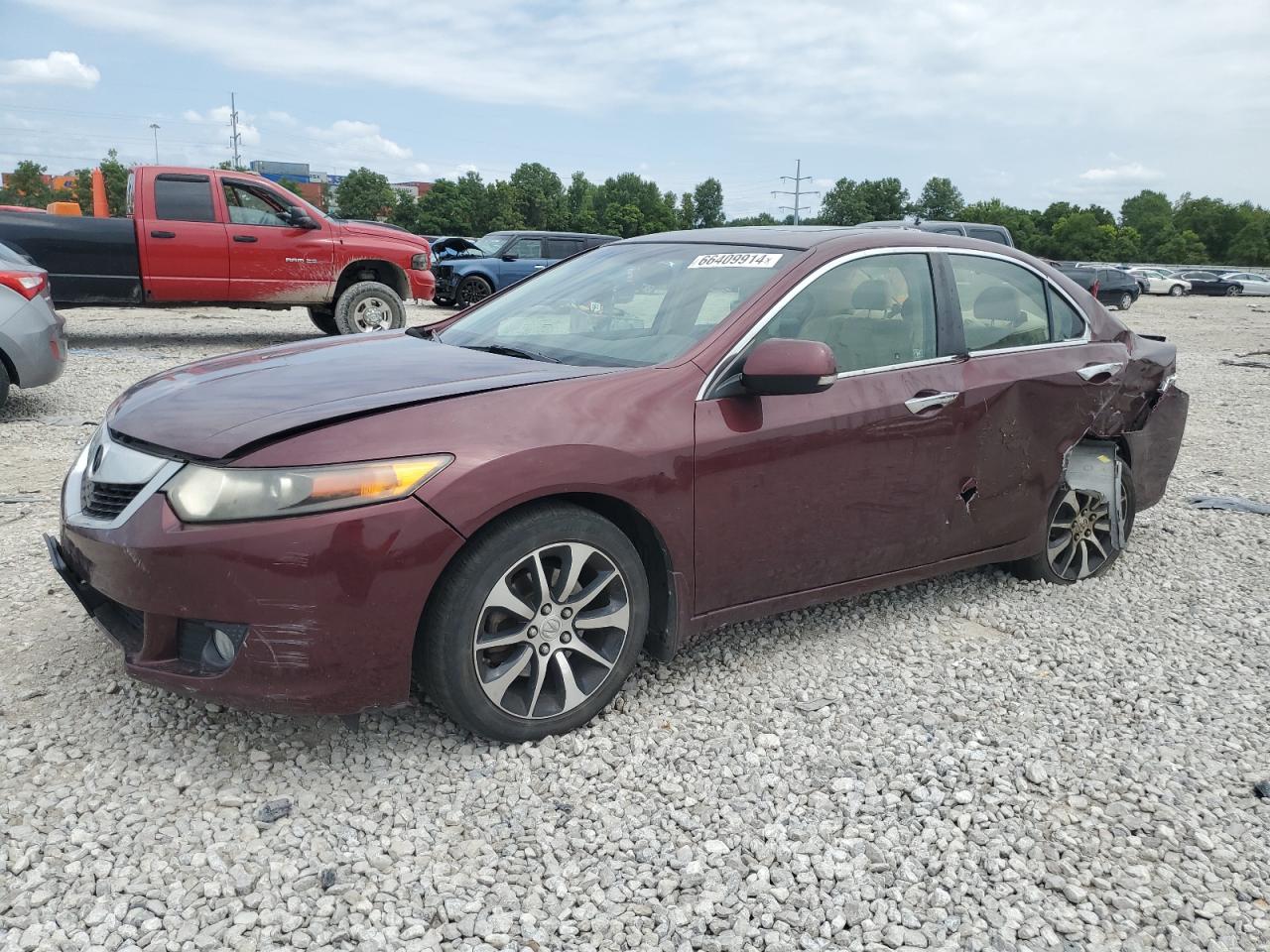 2010 Acura Tsx VIN: JH4CU2F69AC025552 Lot: 66409914