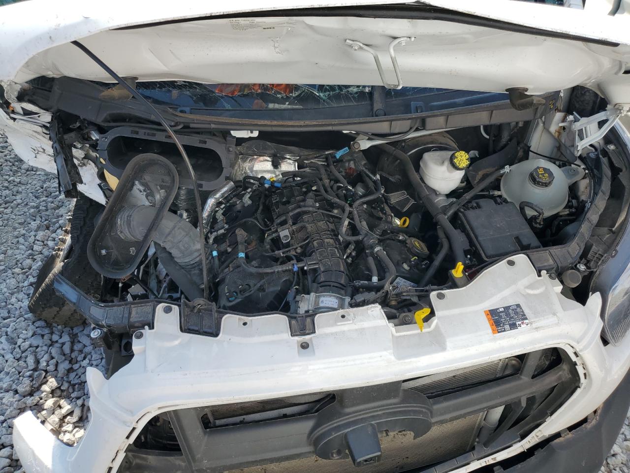 2023 Ford Transit T-250 VIN: 1FTBR2CG0PKB34377 Lot: 67638984