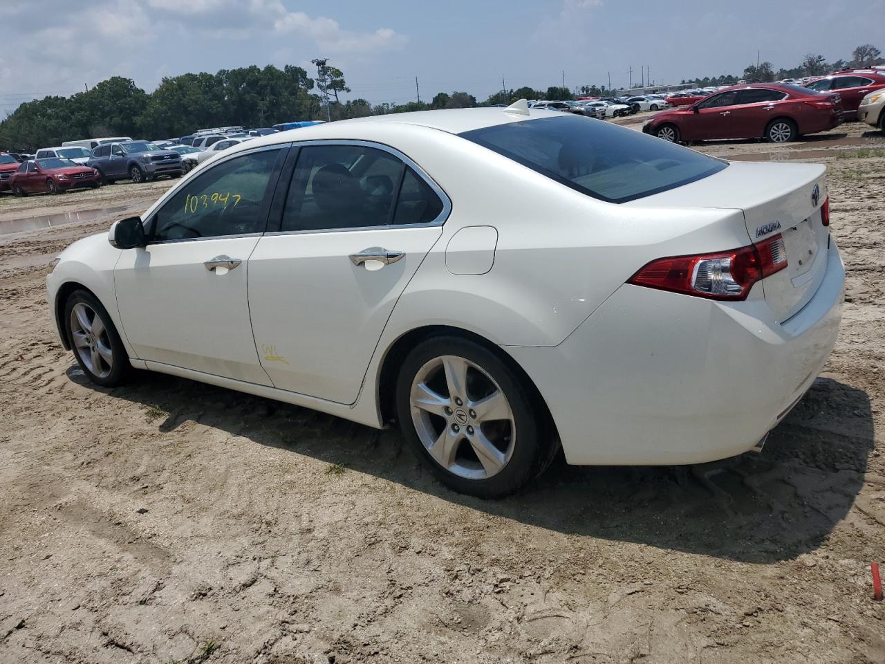 2010 Acura Tsx VIN: JH4CU2F66AC013701 Lot: 66794134