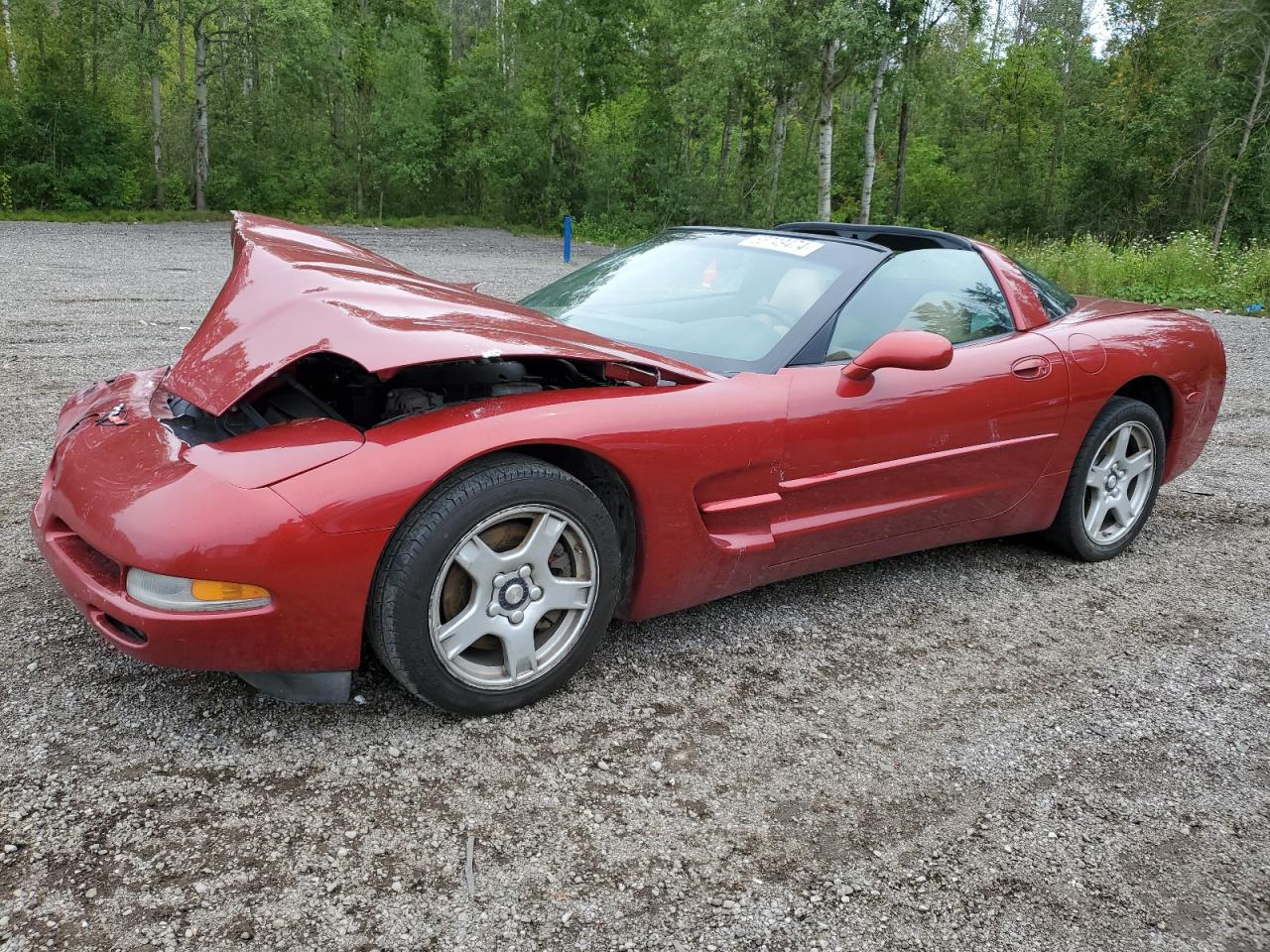 1999 Chevrolet Corvette VIN: 1G1YY22G4X5107317 Lot: 65749474