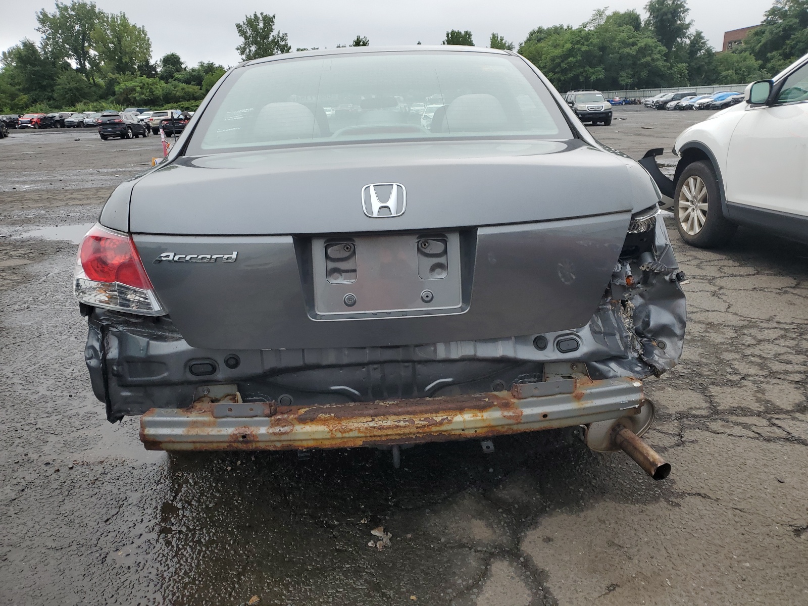 1HGCP26369A181507 2009 Honda Accord Lx