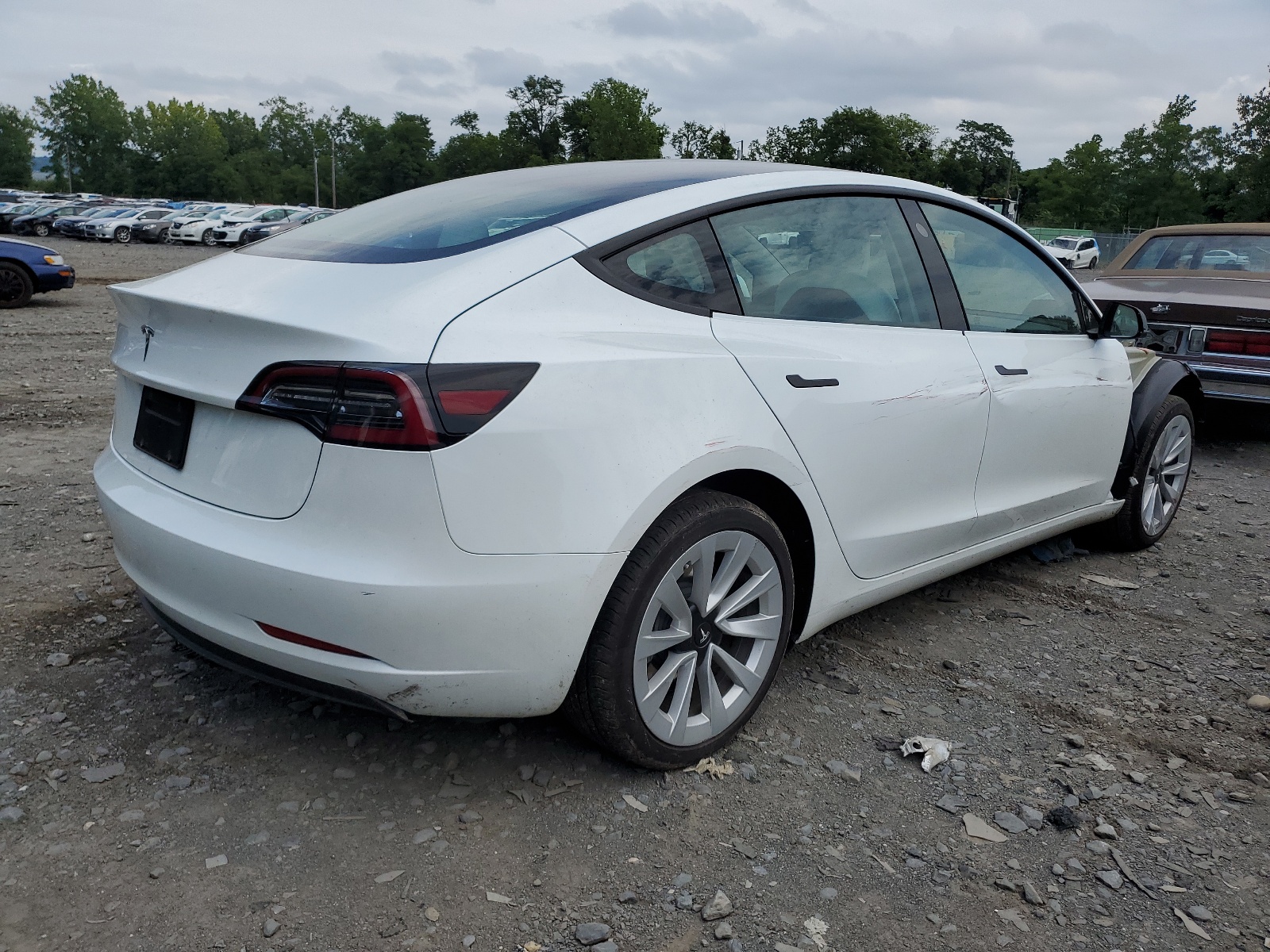 5YJ3E1EA0PF417541 2023 Tesla Model 3