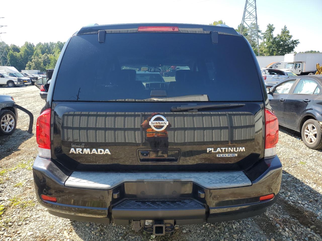 2010 Nissan Armada Platinum VIN: 5N1BA0NE9AN618766 Lot: 66590574