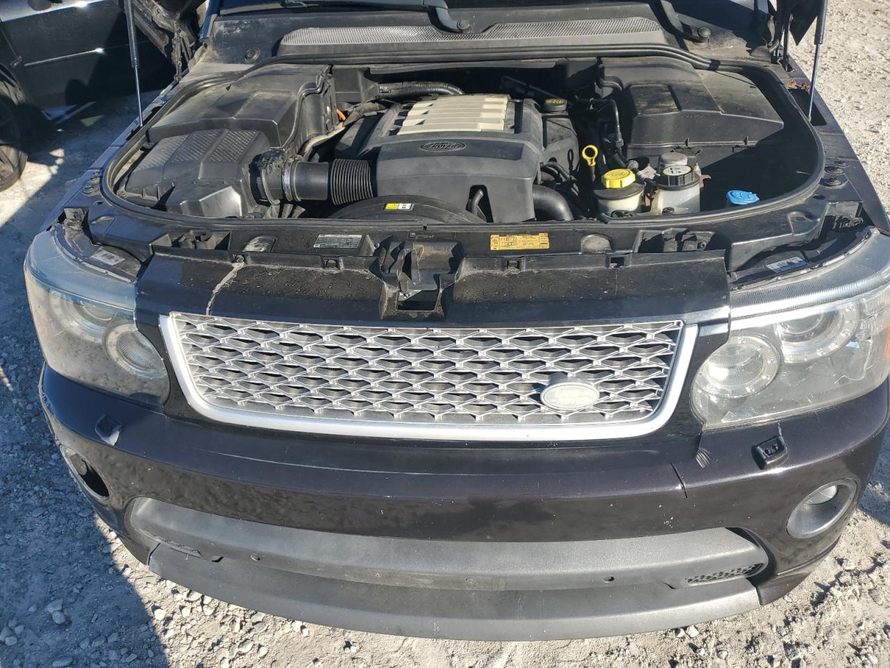 2009 Land Rover Range Rover Sport Hse VIN: SALSF25499A214287 Lot: 67029464