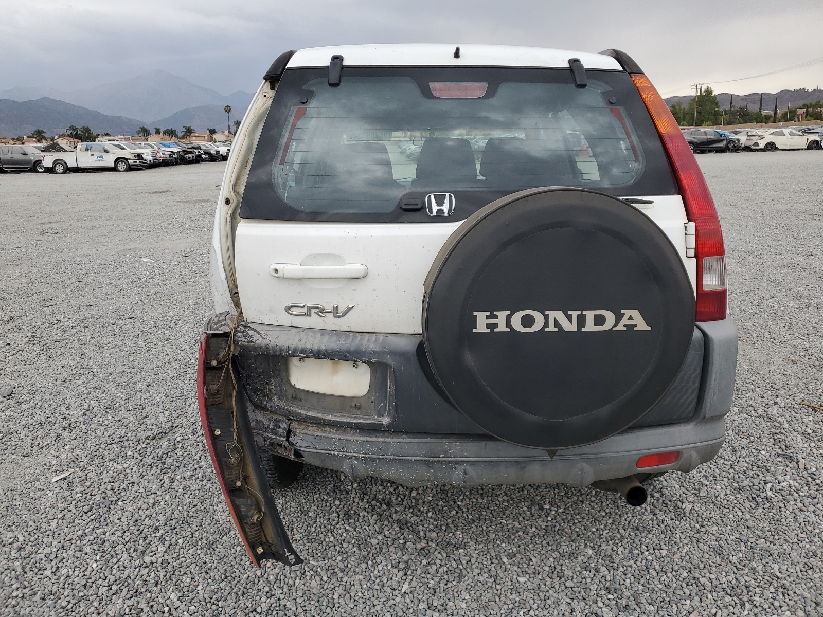 JHLRD68484C017920 2004 Honda Cr-V Lx