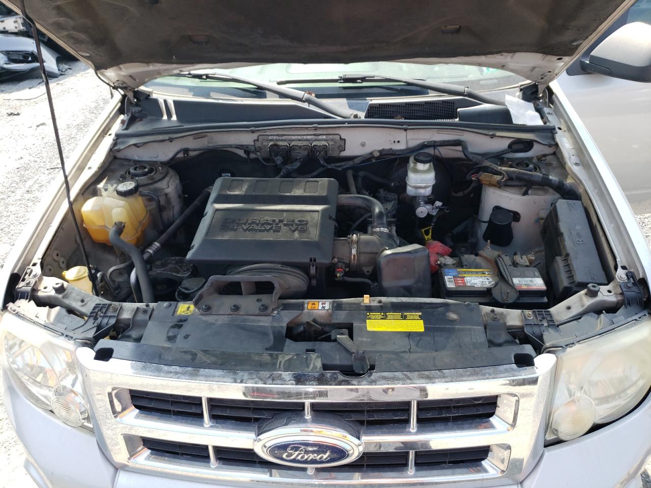 2009 Ford Escape Xlt VIN: 1FMCU93G69KB14886 Lot: 66746824