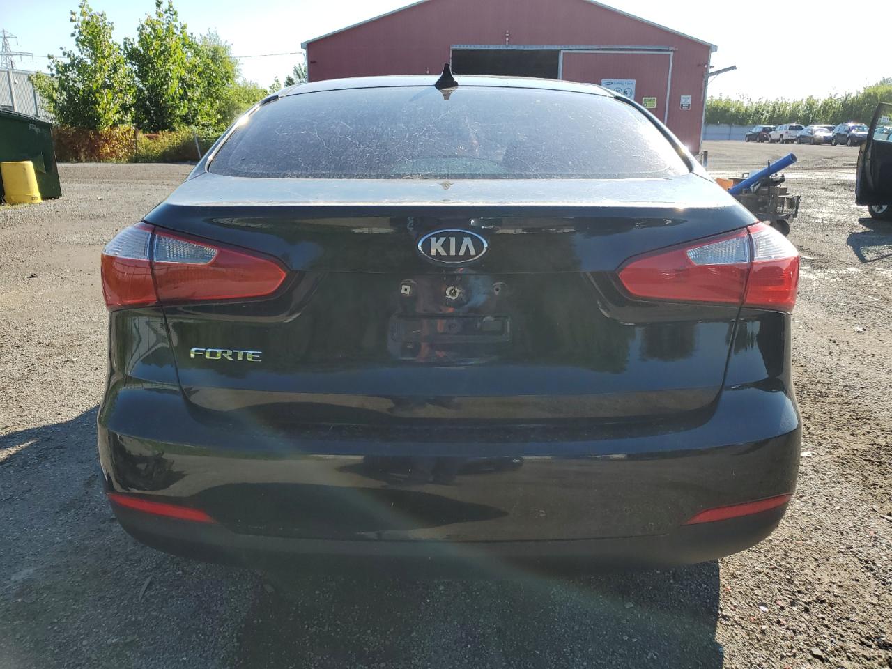 2014 Kia Forte Lx VIN: KNAFX4A66E5073204 Lot: 65550044