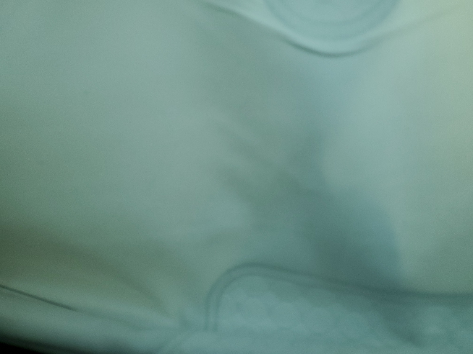 Subaru Forester 2019 -auction- 10