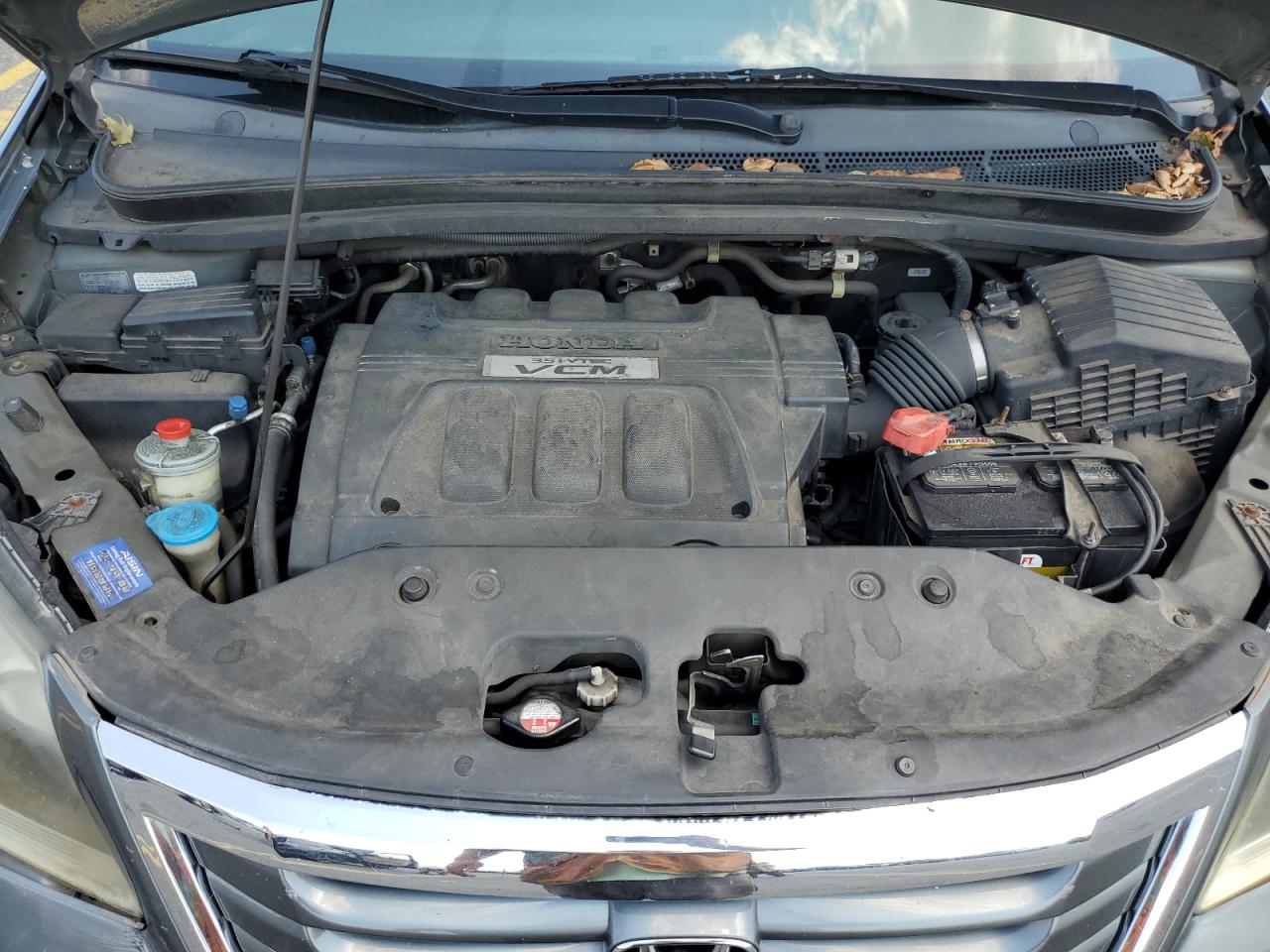 2009 Honda Odyssey Exl VIN: 5FNRL38669B014184 Lot: 65595234