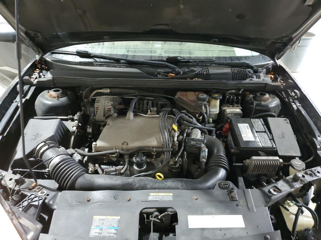 2005 Chevrolet Malibu Ls VIN: 1G1ZT54845F246283 Lot: 67671584