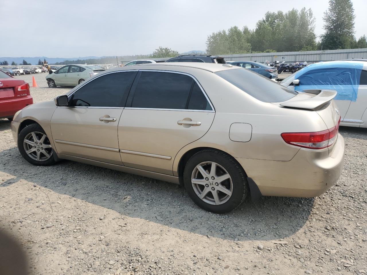 2004 Honda Accord Ex VIN: 1HGCM66594A091049 Lot: 66111524