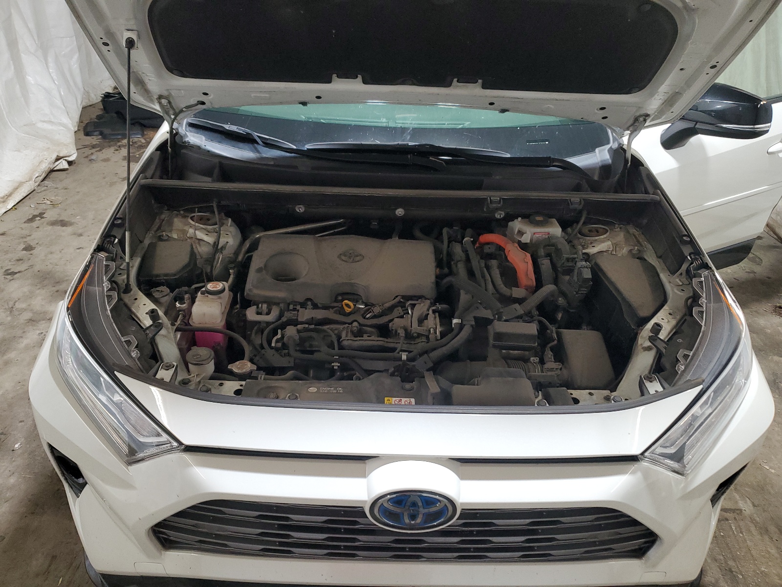 JTMEWRFV3LJ039756 2020 Toyota Rav4 Xse