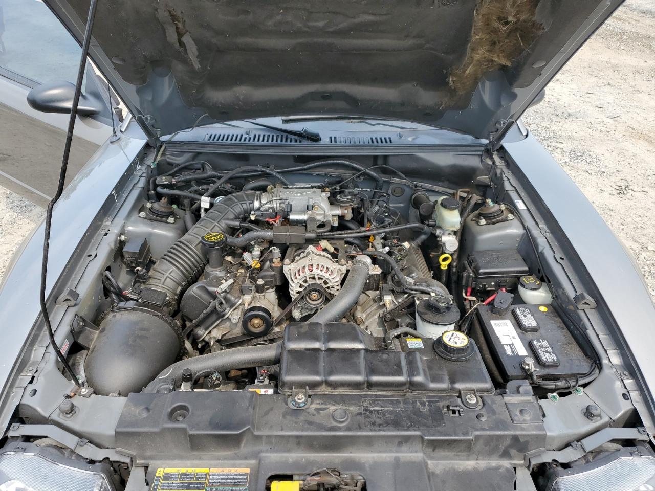 2001 Ford Mustang Gt VIN: 1FAFP45X31F227707 Lot: 65800574