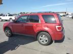 2011 Ford Escape Limited за продажба в Grand Prairie, TX - Front End