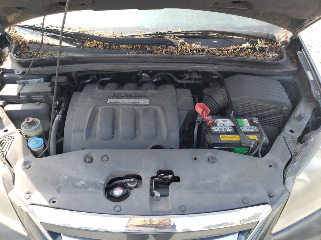 2006 Honda Odyssey Exl VIN: 5FNRL38786B427230 Lot: 65973934