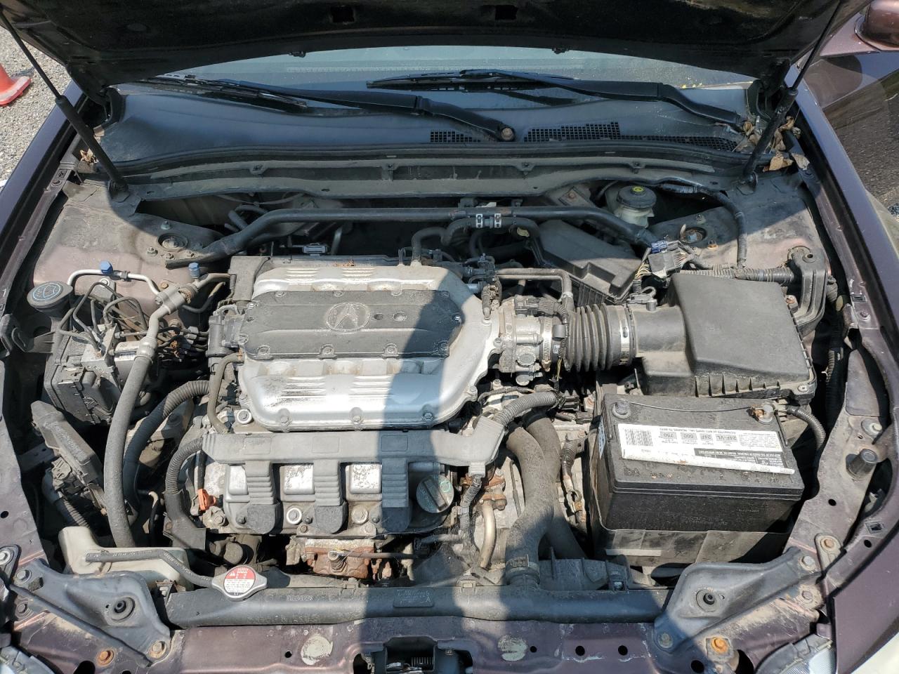 2009 Acura Tl VIN: 19UUA86559A005221 Lot: 66706714