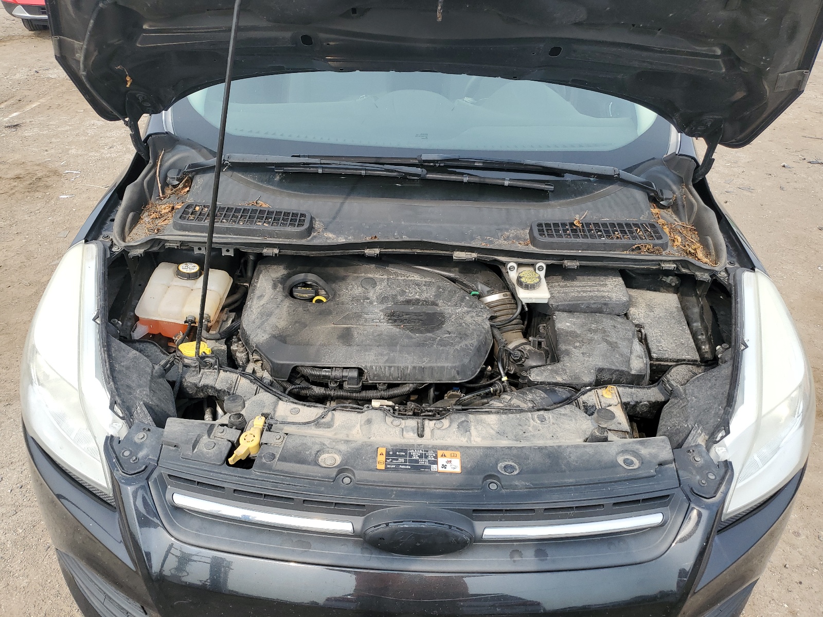 1FMCU0GX8EUD57183 2014 Ford Escape Se