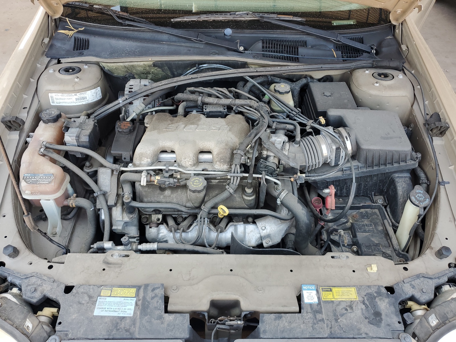 1G1ND52J316273096 2001 Chevrolet Malibu