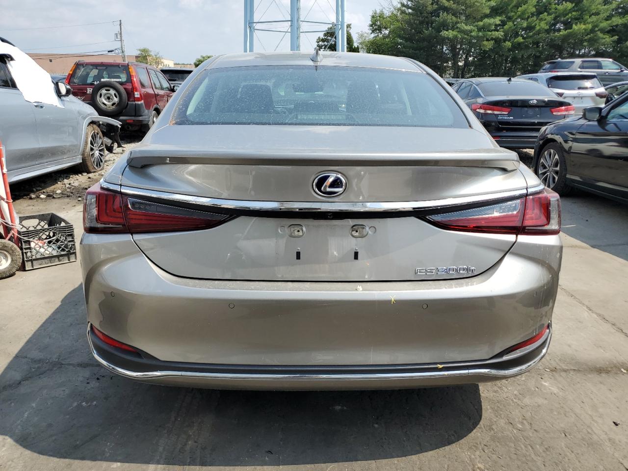 2021 Lexus Es 300H VIN: 58ADA1C11MU008622 Lot: 64682244